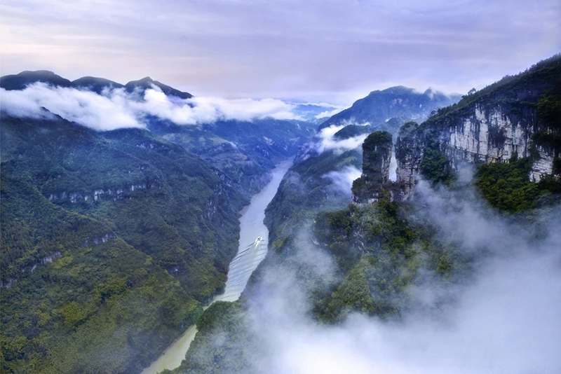 1764301405873718.jpg 1-.jpg