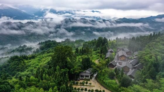 1764557837273725.jpg 4.jpg