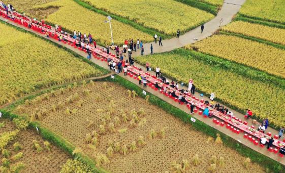 1764557852758541.jpg 5.jpg