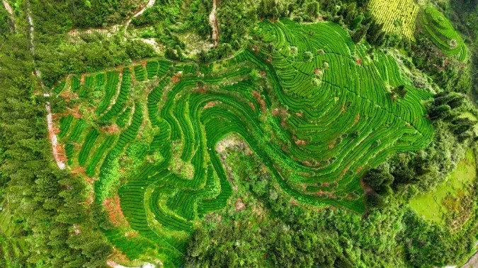 1764817839587044.png 555.png