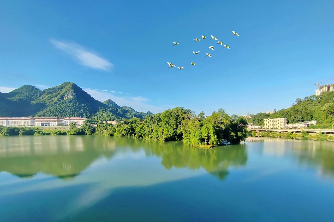 1765244603314226.jpg 2.jpg