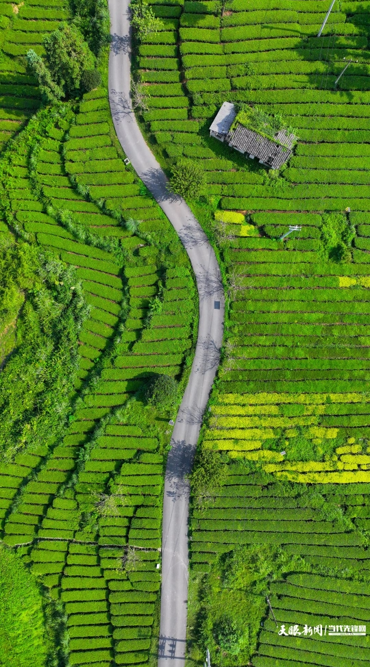 1765244684608461.png 4.png