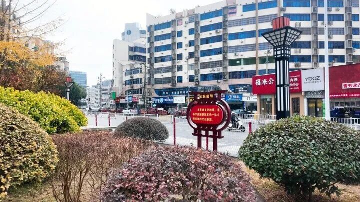 1765245033820722.jpg 3.jpg