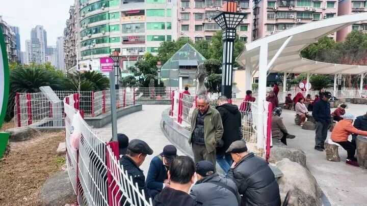 1765245175573100.jpg 7.jpg