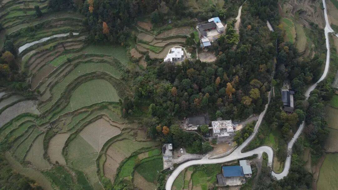 1765247974856713.jpg 1.jpg