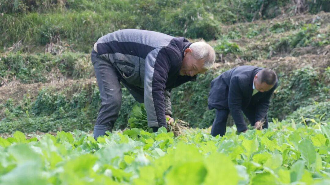 1765247983729134.jpg 2.jpg