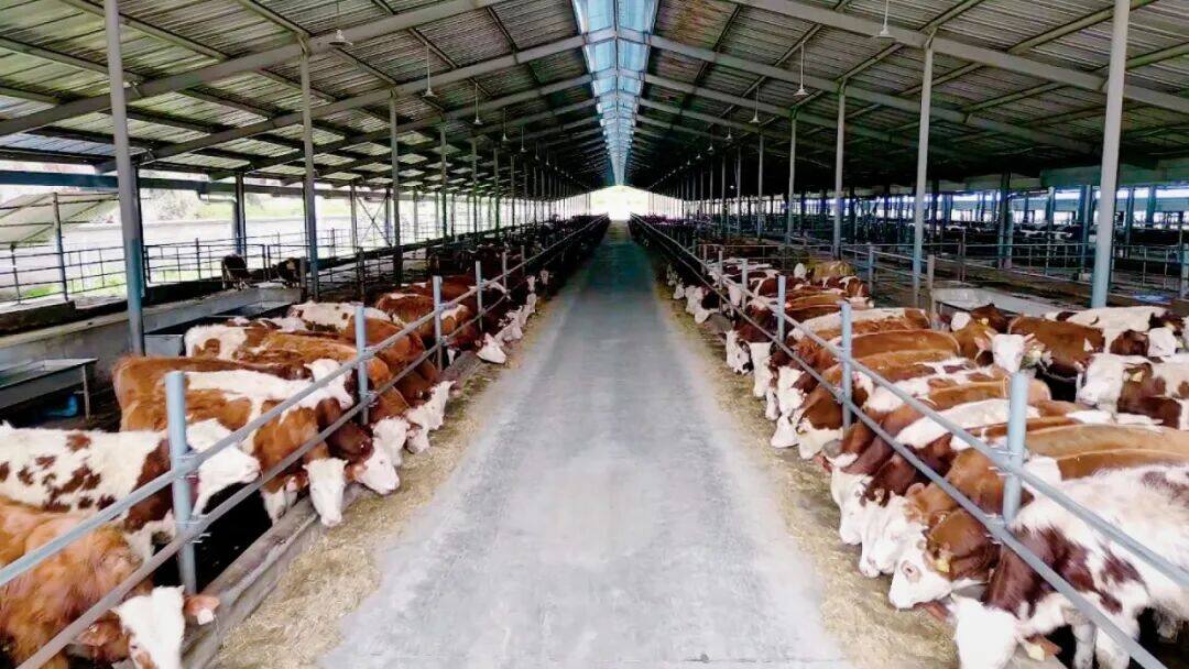 1765248174915139.jpg 2.jpg