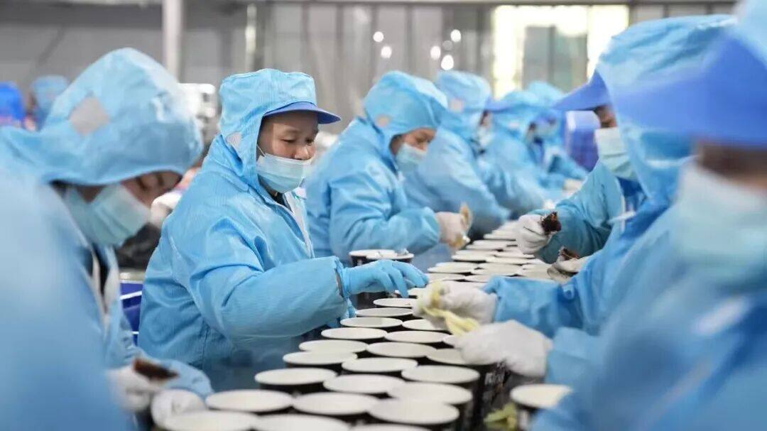 1765248189499288.jpg 3.jpg