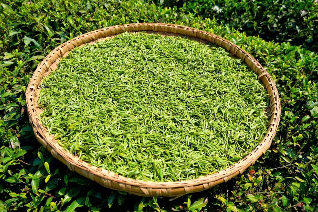 1765248206599136.jpg 4.jpg