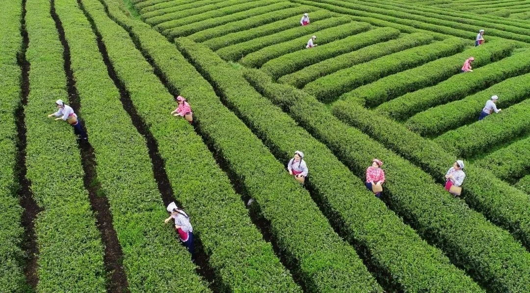 1765249349483451.jpg 2_看图王.jpg