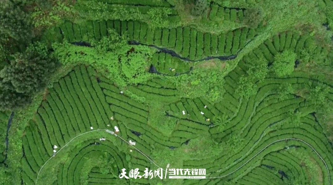 1765249393661961.jpg 3_看图王.jpg