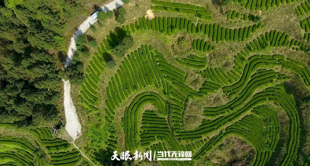 1765249478281159.jpg 5_看图王.jpg