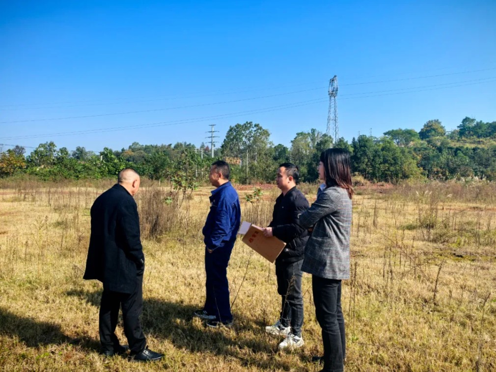 1765334032866502.jpg 3.jpg