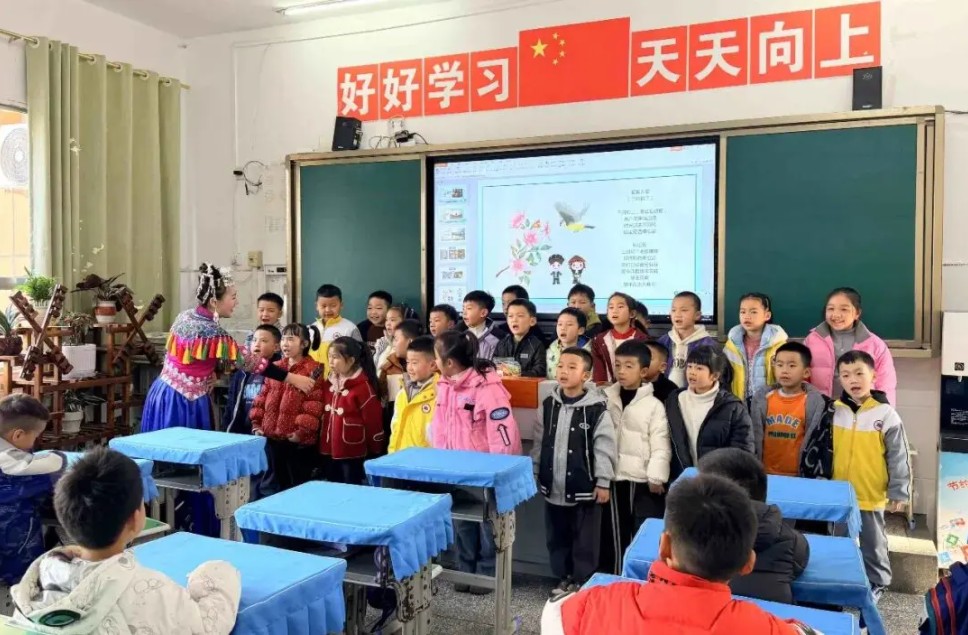 1765341338458329.jpg 4.jpg