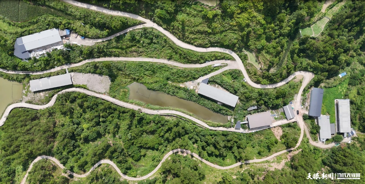 1765418557194251.jpg 微信图片_2025-12-11_100122_546.jpg