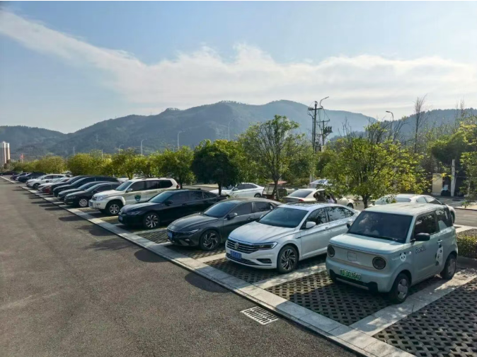 1765776546273855.png 3.png