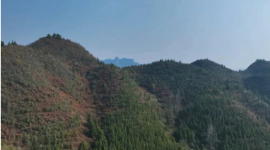 1765778756979597.png 2.png