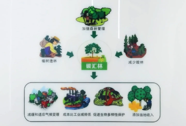 1765778785984518.png 222.png