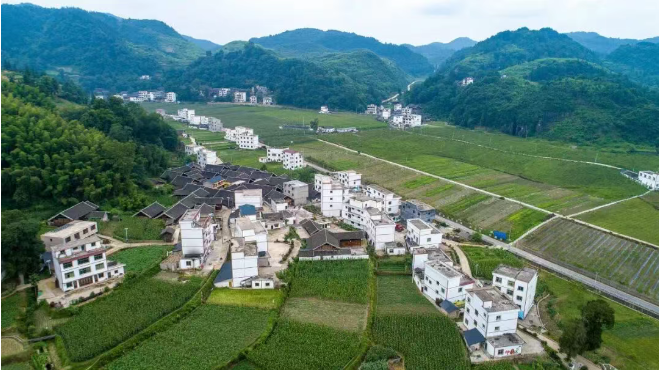 1765779634346121.png 444444444.png