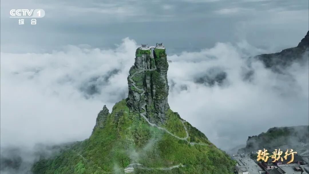 1765851346422856.jpg 02.jpg