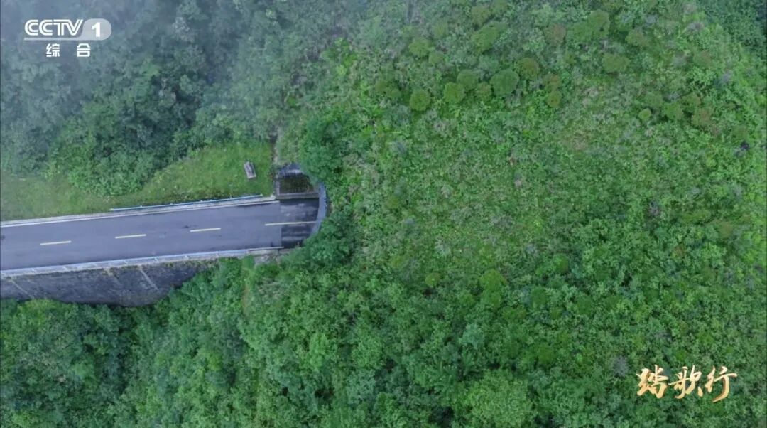 1765851453570701.jpg 08.jpg