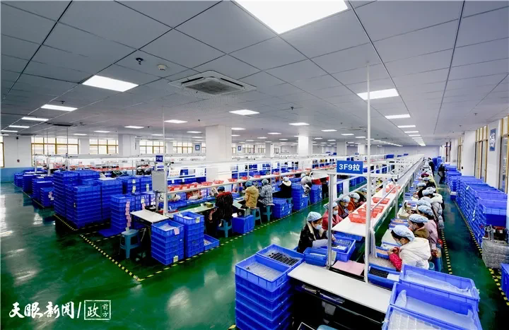 1765855923428462.png 12.webp.png