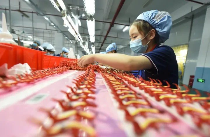 1766641943781332.png 01.webp.png