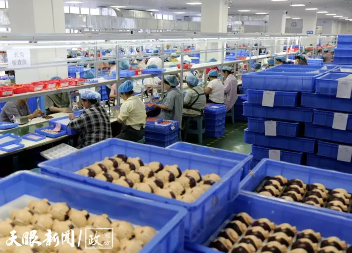 1766641977723445.png 02.webp.png