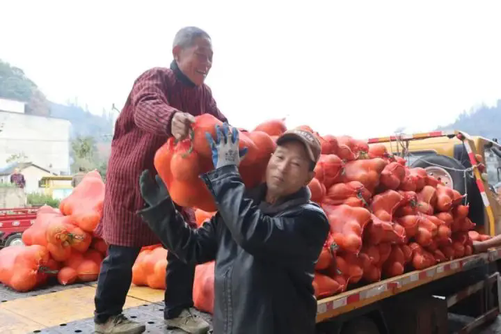 1767670294319728.png 01.webp.png