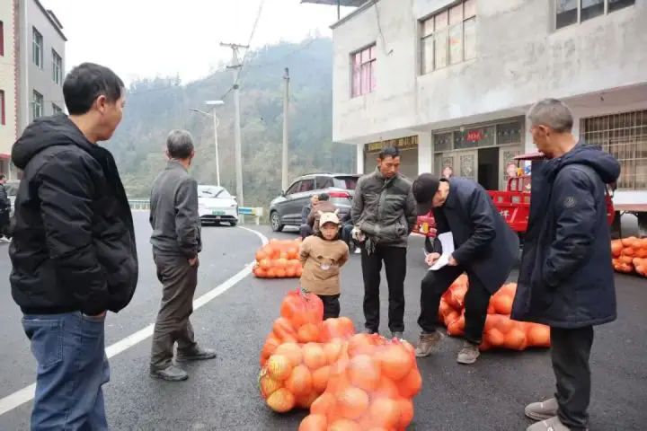 1767670303303745.png 02.webp.png