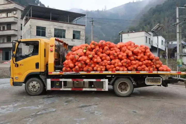 1767670339110303.png 05.webp.png