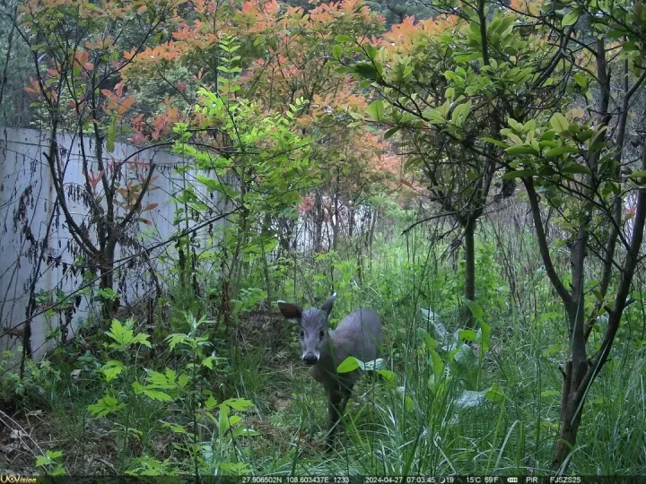 1767671539282432.png 03.webp.png