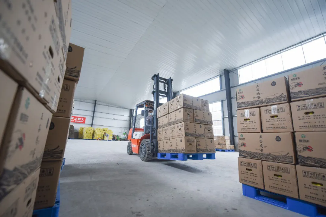 1767673335258043.png 01.webp (1).png