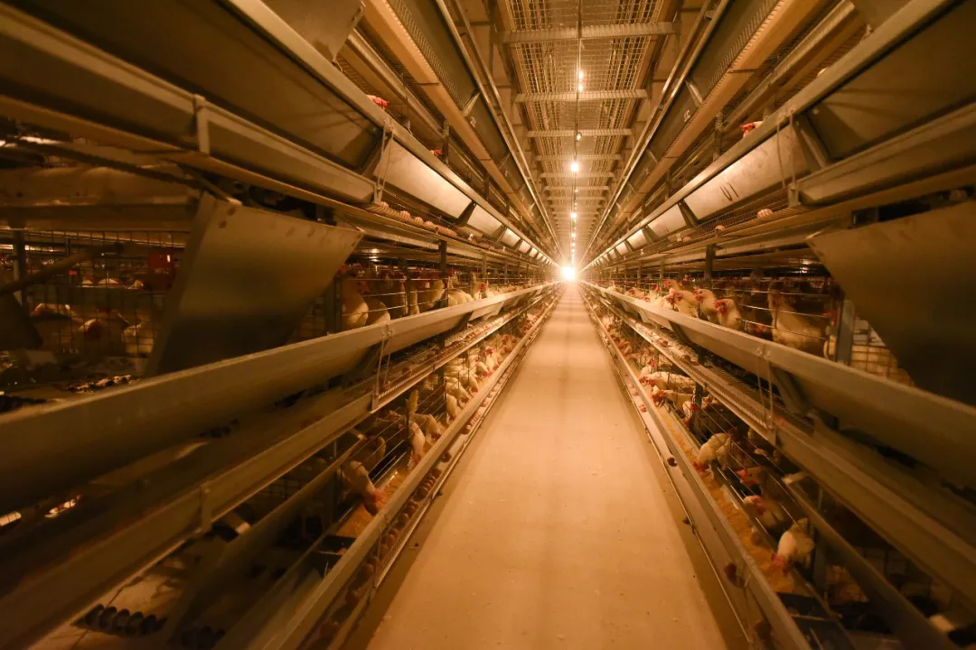 1767673359547102.png 02.webp (1).png