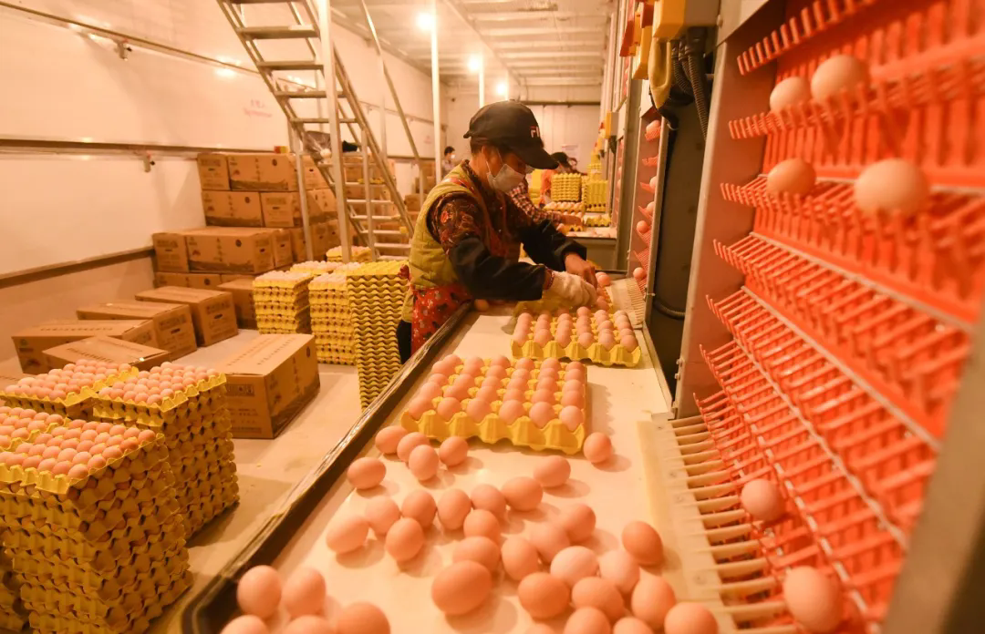 1767673381998175.png 03.webp.png