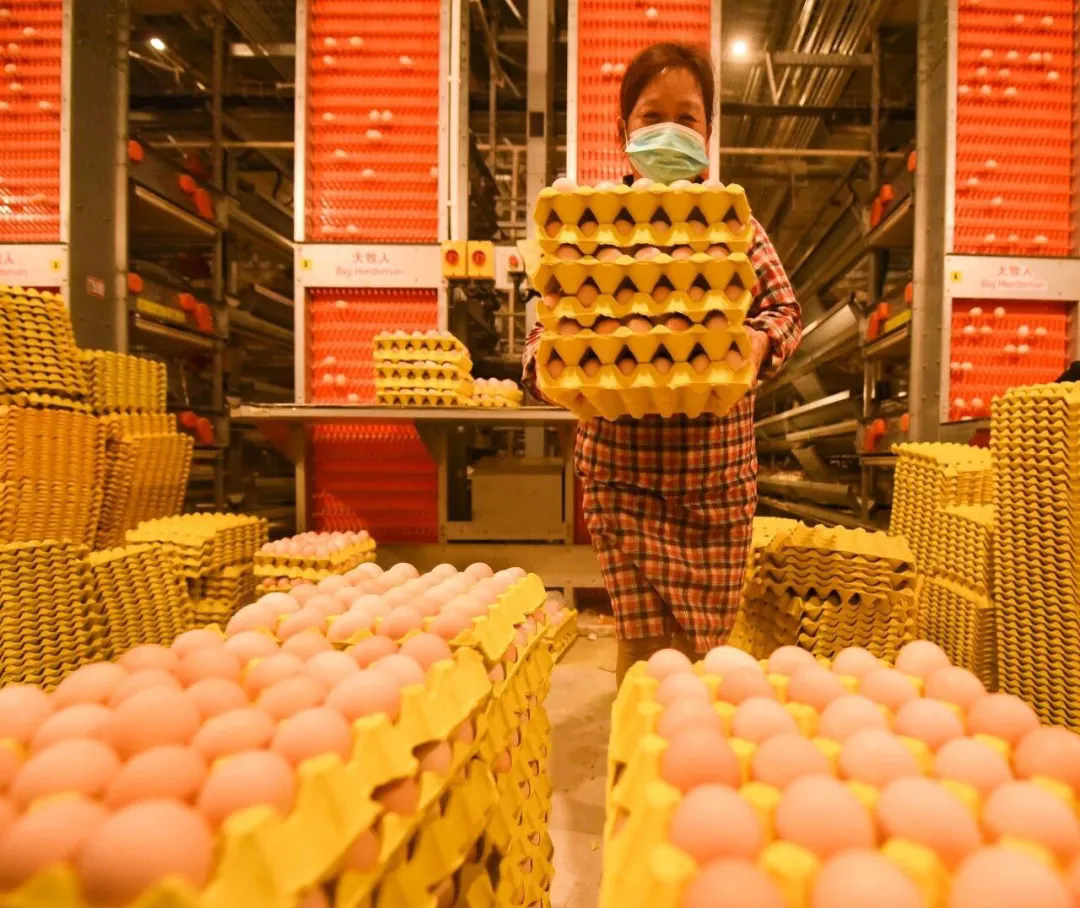 1767673403717535.png 04.webp (1).png