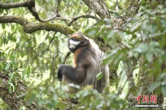 1769053030466269.jpg 微信图片_2026-01-22_113555_268.jpg