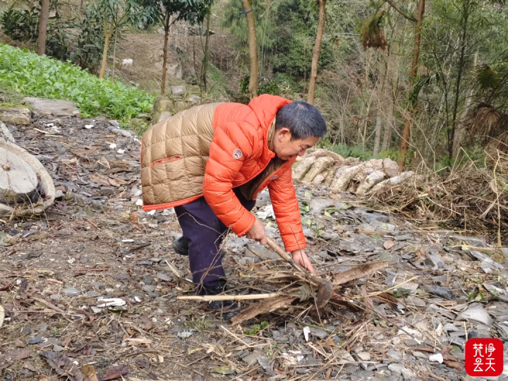 1769153612796018.png 02.webp.png