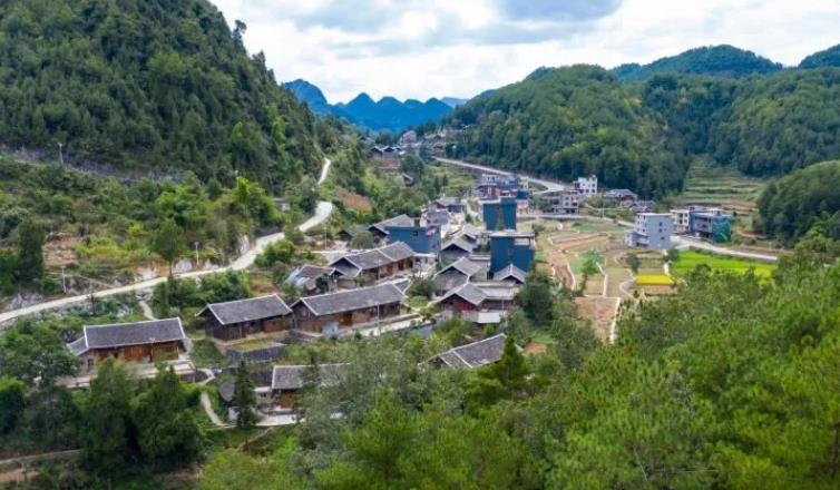 1769656034871182.jpg 1.jpg