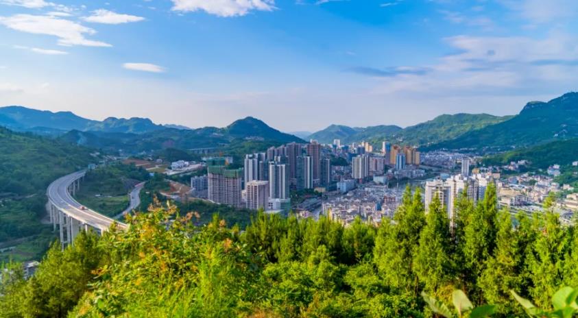 1769658674519792.jpg 7.jpg