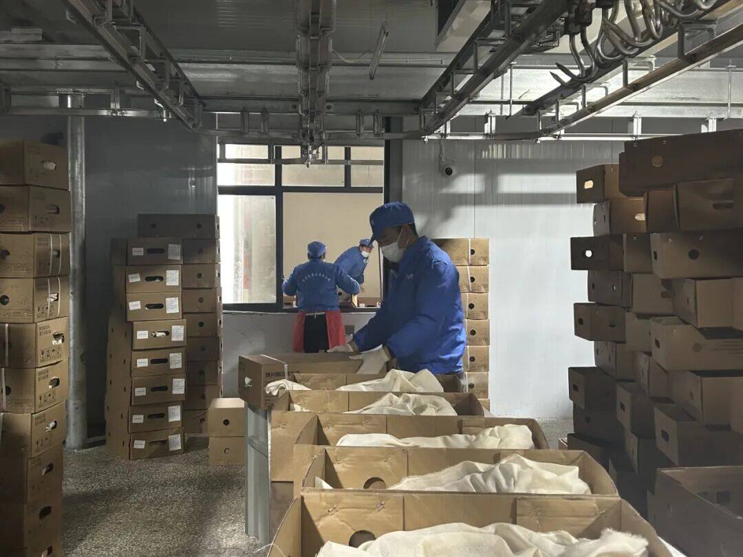 1769747381185977.jpg 微信图片_2026-01-30_122917_070.jpg