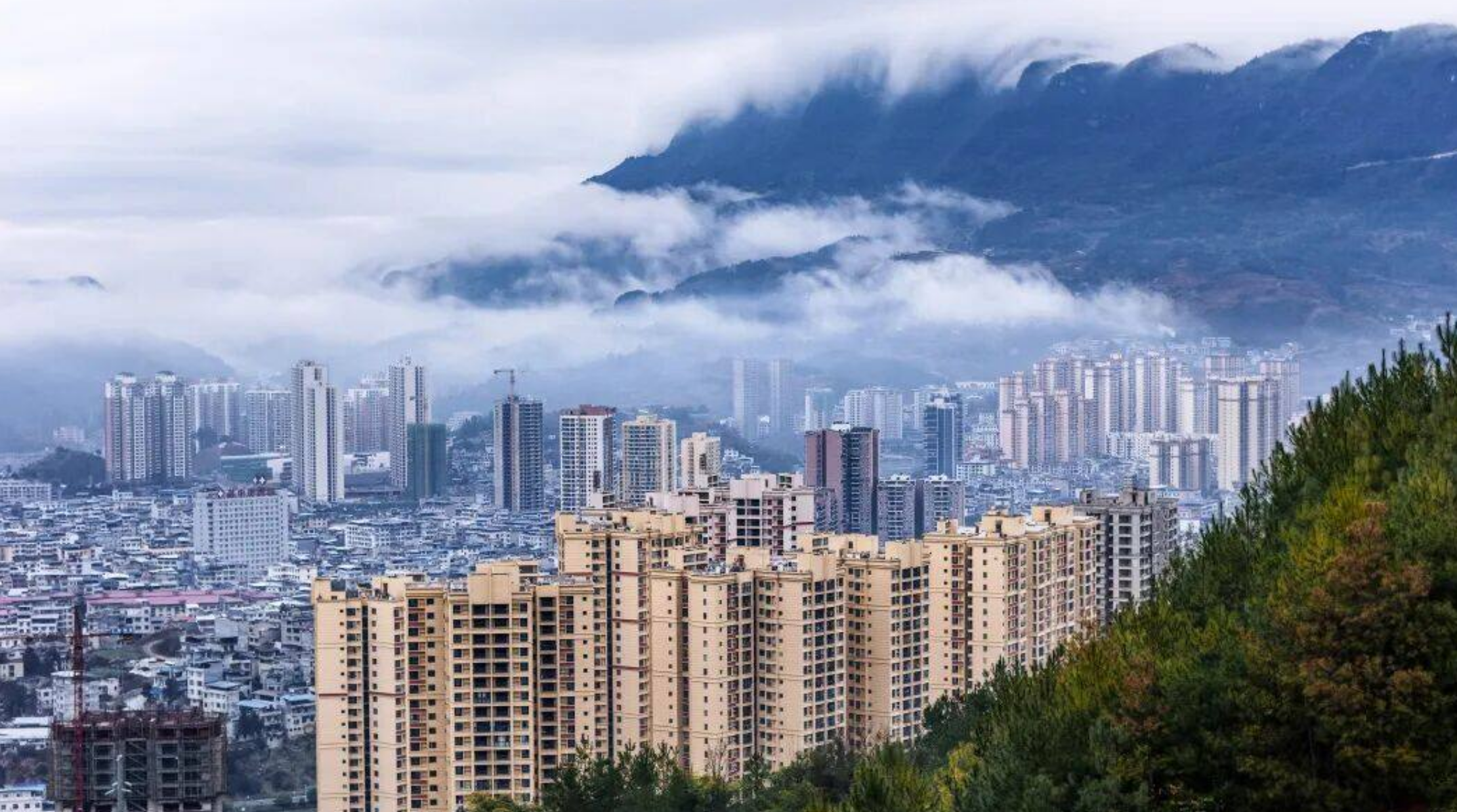 1770007261832703.png 微信图片_2026-02-02_124143_278.png