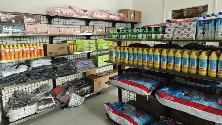 1772251517642630.png 03.webp.png