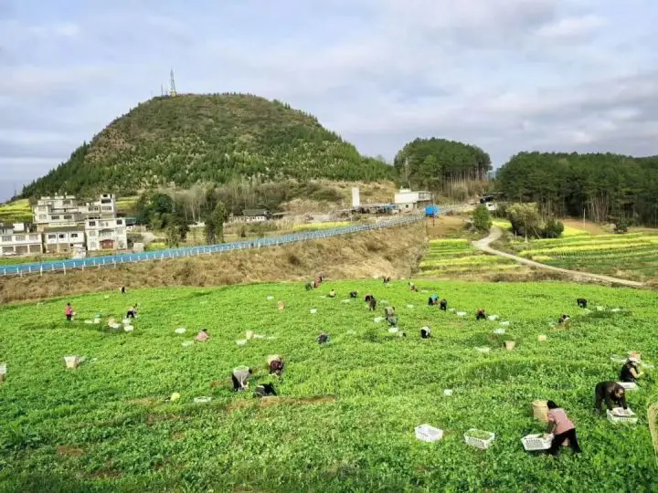 1772253190632110.png 01.webp.png