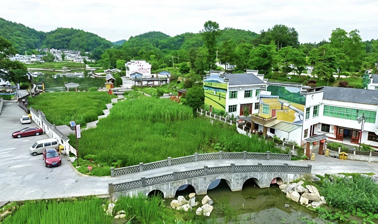 1773041990882566.jpg 1.jpg