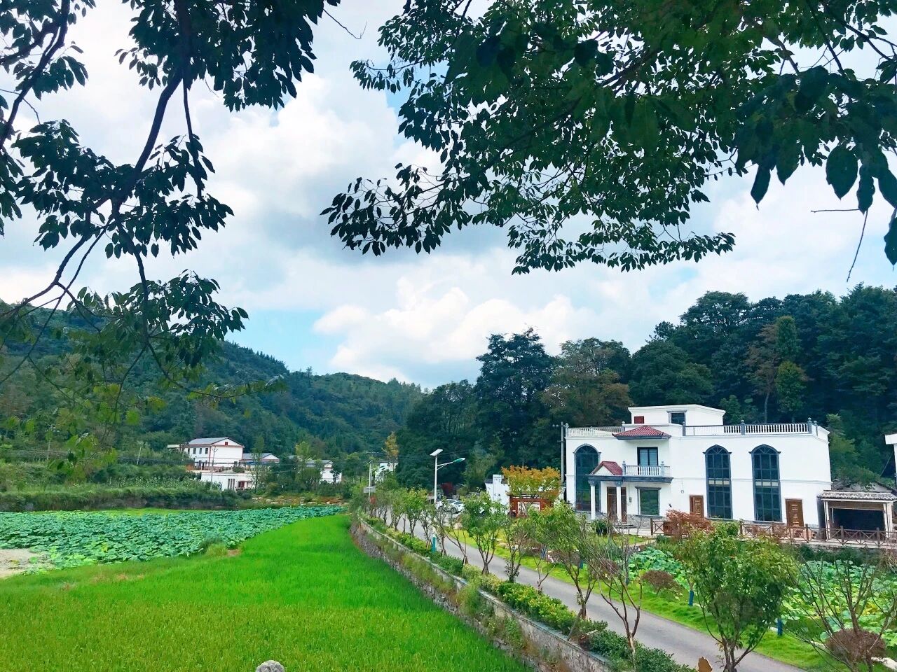 1773042502515095.jpg 7.jpg