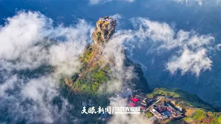 1773109522994221.jpg 2.jpg