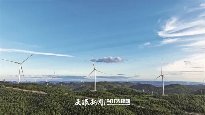 1773109544842865.jpg 4.jpg