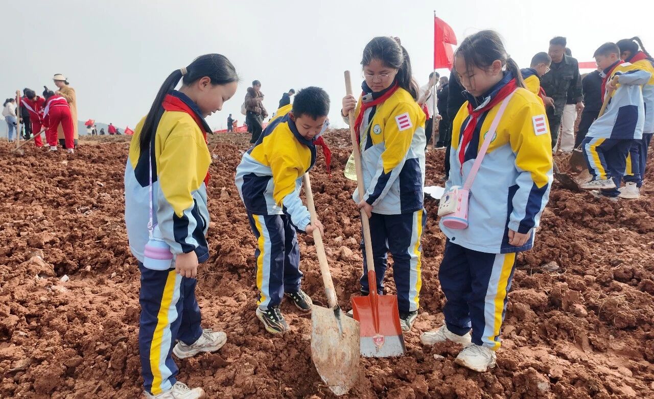 1773364700672068.jpg 微信图片_2026-03-13_091745_945.jpg