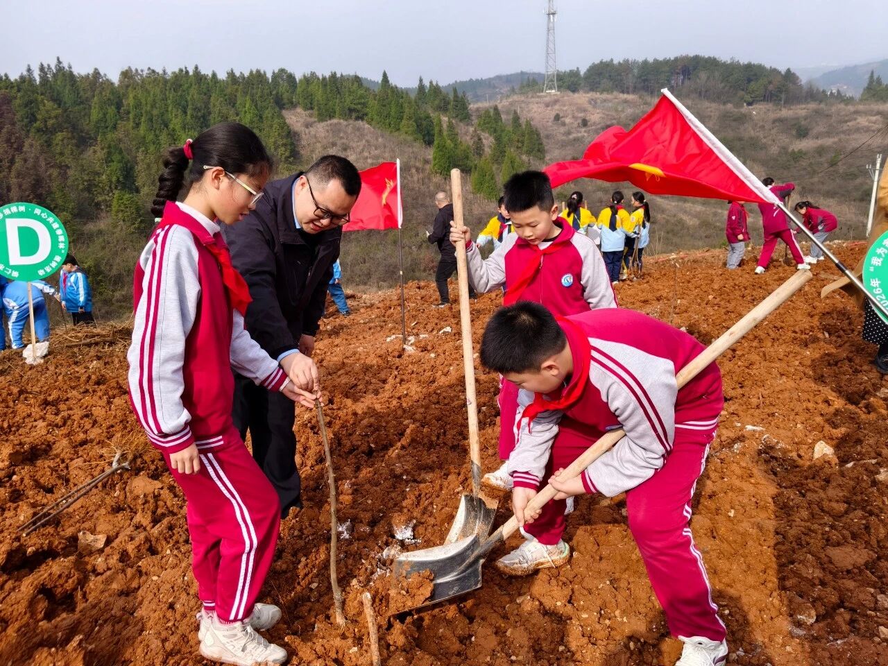 1773364715578972.jpg 微信图片_2026-03-13_091748_923.jpg